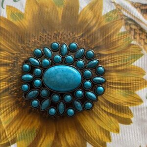 Turquoise and Bronze Belt Buckle with Striking Design